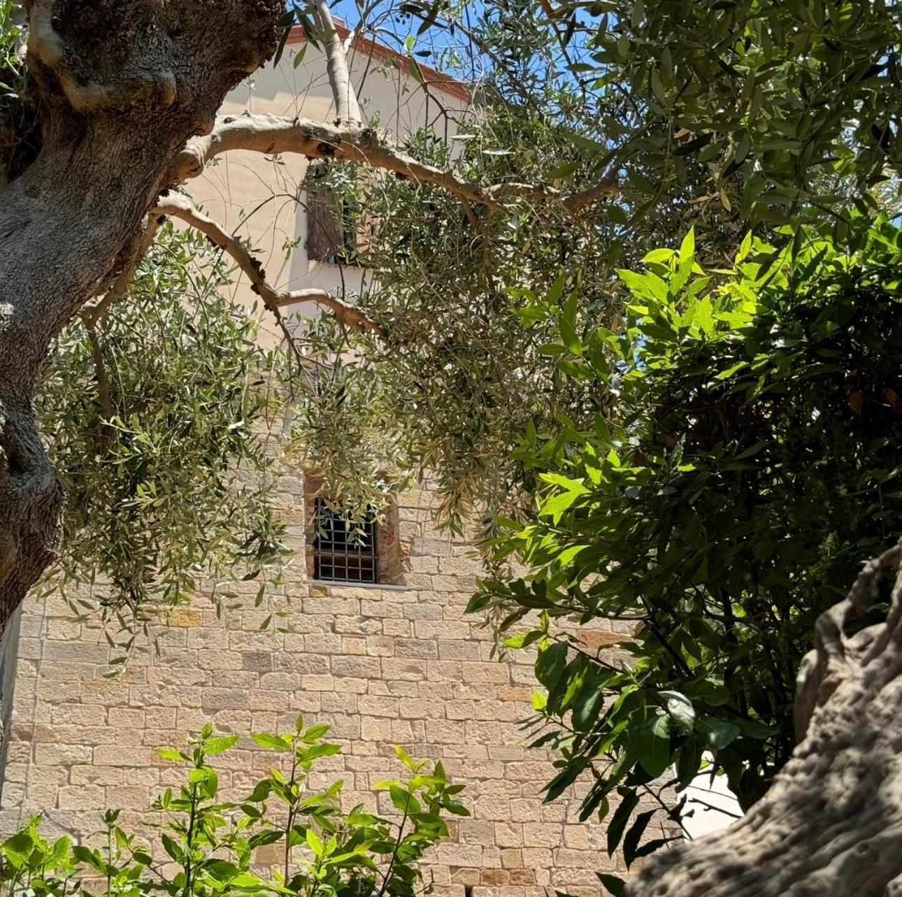 Madonna Del Poggio Cav Aparthotel Scarlino Εξωτερικό φωτογραφία