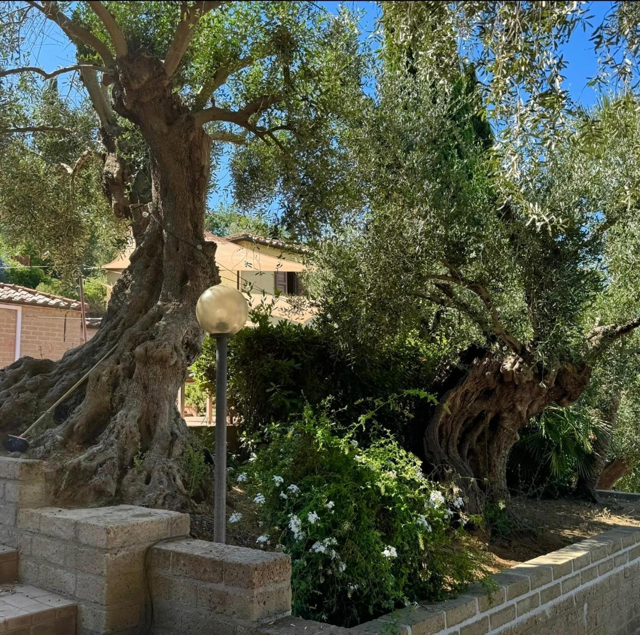 Madonna Del Poggio Cav Aparthotel Scarlino Εξωτερικό φωτογραφία